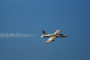 DSC03019